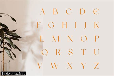 Dream Avenue | Modern Classic Font