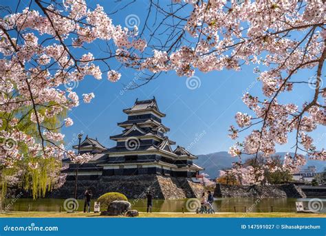 Cherry Blossom Full Bloom at Matsumoto Castle Editorial Photography - Image of background, full ...