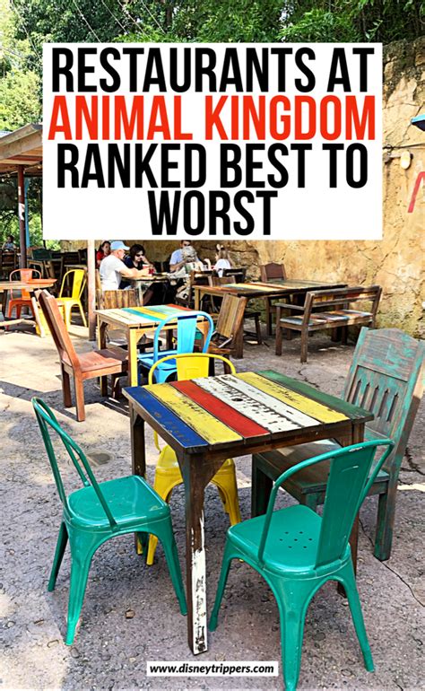 Restaurants At Animal Kingdom Ranked Best To Worst | 18 Best (And Worst!) Animal Kingdom Res ...