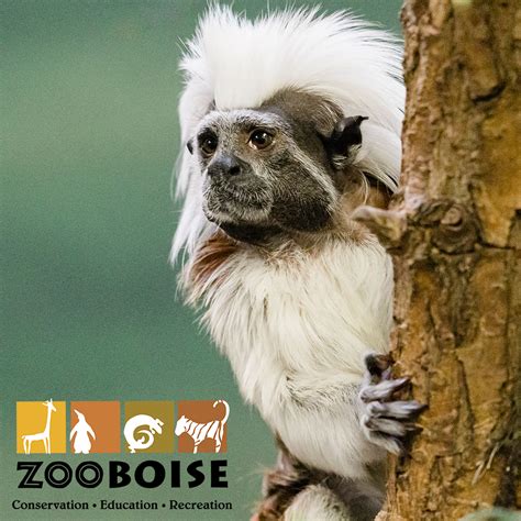 Homeschool Family Night Out at Zoo Boise | Downtown Boise, ID