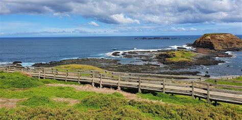 🐧 The 5 Best Phillip Island Penguin Tours [2024 Reviews] | World Guides ...