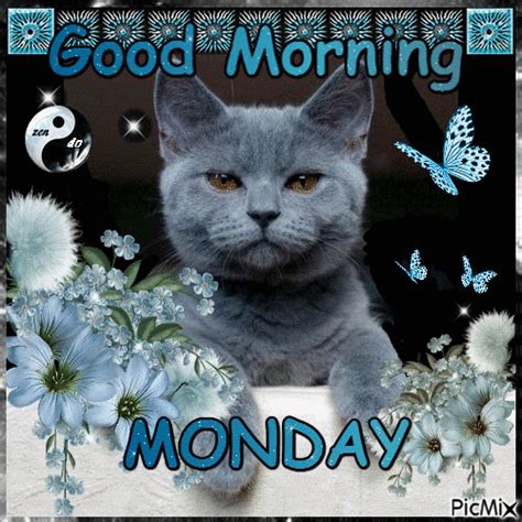 Blinking Cat Good Morning Monday Animation | Good morning animation ...