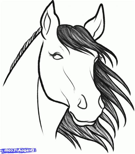 Easy To Draw Horse Head How To Draw A Horse Head, Stepstep, Farm ...