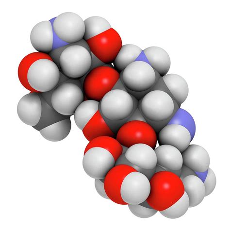 Kanamycin Antibiotic Drug Molecule Photograph by Molekuul | Fine Art America