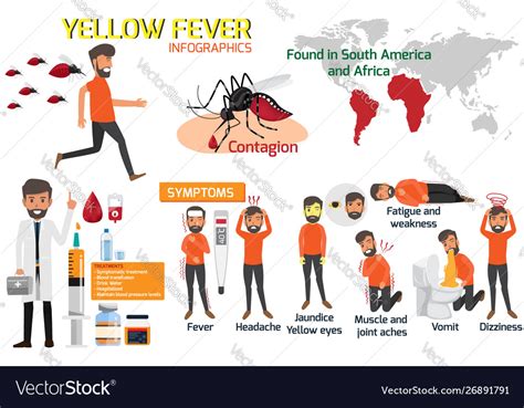 Yellow fever infographic elements symptoms Vector Image