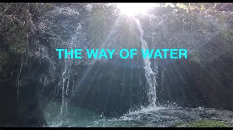 the way of water - YouTube