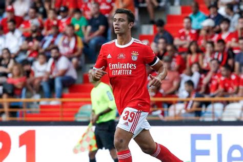 Onde assistir jogo do Benfica hoje ao vivo na Champions League (17/8) | DCI