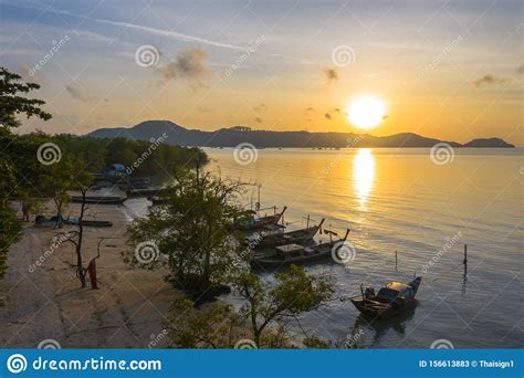 Beautiful Sunrise Above Pine Tree Stock Image - Image of landscape, aerial: 156613883