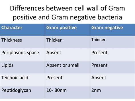 Gram positive vs gram negative cell walls - sdseka