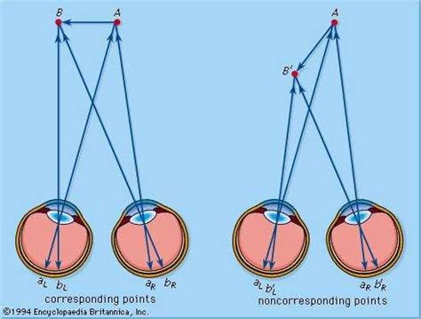 Depth perception | Britannica.com