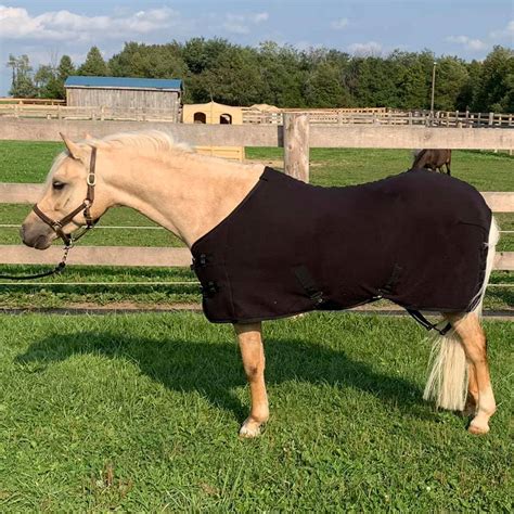 Blankets for the Horse | The Tack Shoppe of Collingwood