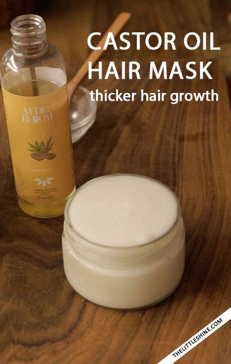 Two Ingredient Castor Oil Hair Growth Mask - The Little Shine