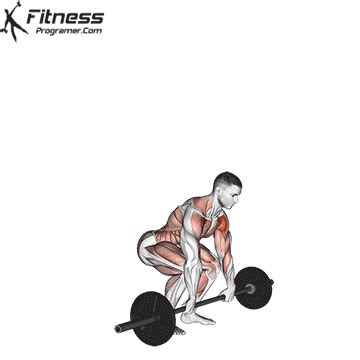 How To: Barbell Clean And Press - Benefits, Muscles Worked