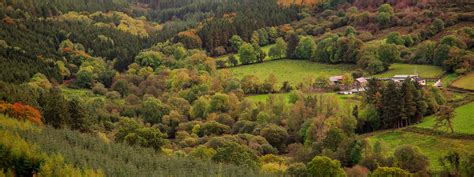 Slieve Bloom Mountains | Best Hikes in Ireland | Biking Ireland