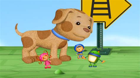 Watch Team Umizoomi Season 2 Episode 13: Team Umizoomi - Buster the Lost Dog – Full show on ...