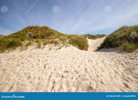 Dunes at Norddorf beach stock image. Image of frisia - 246421609