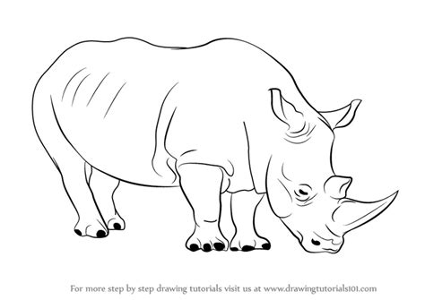 Learn How to Draw a Rhinoceros (Zoo Animals) Step by Step : Drawing Tutorials