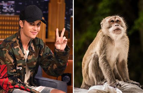 17 Weird Pets Celebs Have Owned | iHeart