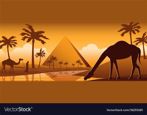 Camel drink water in oasis desert nearby Vector Image