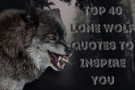 Top 40 Lone Wolf Quotes to Inspire You In 2023 - Mindsetopia