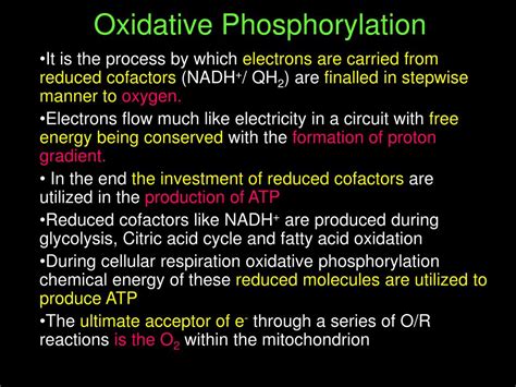 Oxidative Phosphorylation Reactants