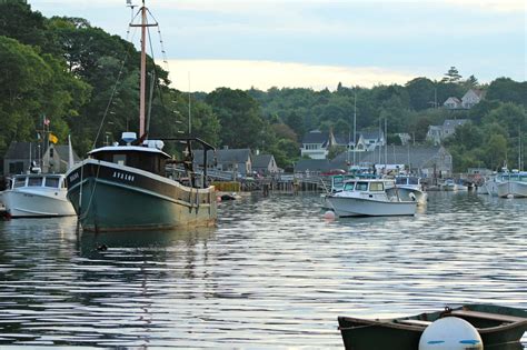 Maine Puffin Watch - New Harbour | Trails Unblazed