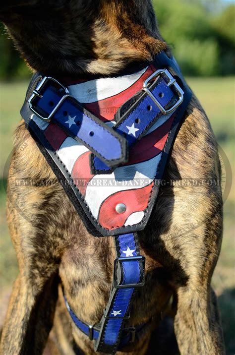 American Flag Leather Harness for Great Dane : Great Dane Breed ...