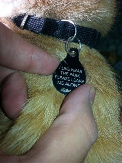 The Best Of Funny Animal Tags 20 Pics