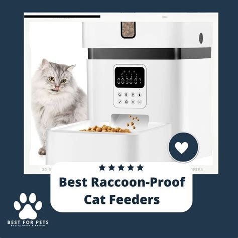 The 7 Best Raccoon-Proof Cat Feeders - BestForPets.org