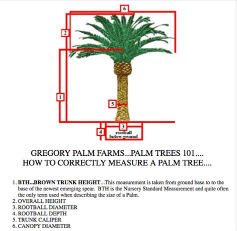 Gregory Palm Farms : KNOW THE CALIBER OF YOUR PALM! WHAT IS A "BTH" AND ...