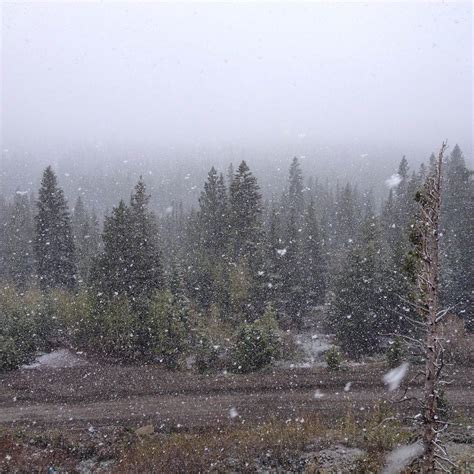 1-3" of Snow Forecasted Above 7,500' in Lake Tahoe Today: - SnowBrains