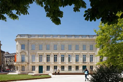 Accueil | Museum Bordeaux - Sciences et nature