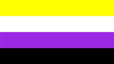 Non-Binary Pride Flag – Owl Post