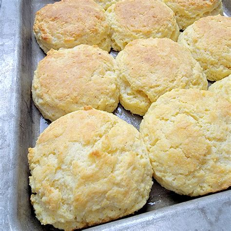 Easy Cornmeal Biscuits Recipe - My Pinterventures