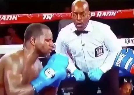 Boxing referee Steve Willis really loves his job - Awesome | Love him, Referee, Humor