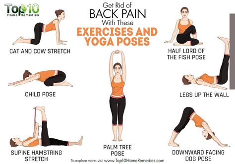 Get Rid of Back Pain with These Exercises and Yoga Poses | Top 10 Home ...
