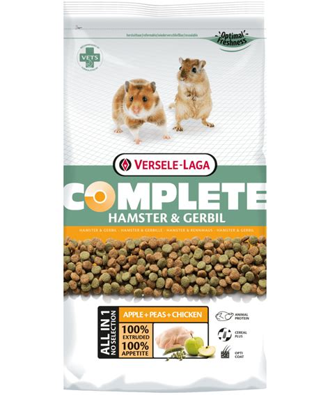 Best Treats For Gerbils - Pet Food Guide