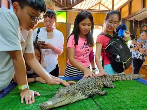 Taman Buaya 和 Rekreasi Melaka 鱷魚休閒公園門票 |馬來西亞 - KKday