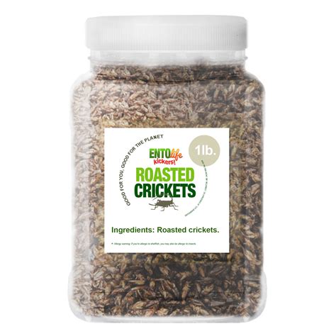 Bulk Crickets by the Pound - Whole Roasted Cricket Snack - Kickers Crickets