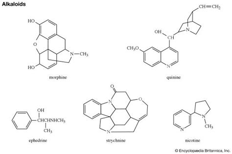 alkaloid | Definition, Structure, & Classification | Britannica.com