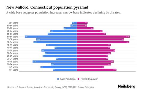 New Milford, Connecticut Population by Age - 2023 New Milford, Connecticut Age Demographics ...