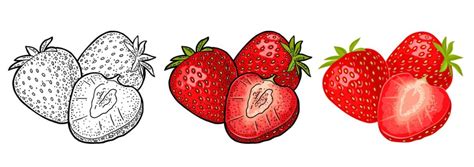 Strawberry Images – Browse 1,779,851 Stock Photos, Vectors, and Video | Adobe Stock