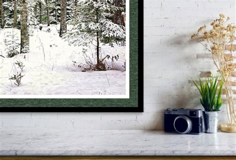 Trees in Snow Print, Winter Photography, Snowy Pines Pictures, Woodland ...