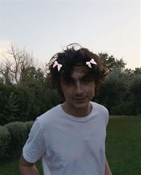 timothee chalamet coquette | Timothee chalamet, Actors, Thimotée chalamet