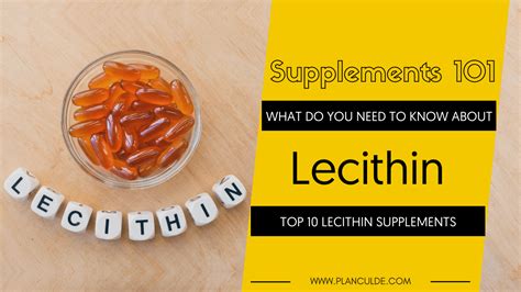 Best Lecithin Supplements: Top 10 Lecithin Brands Reviewed