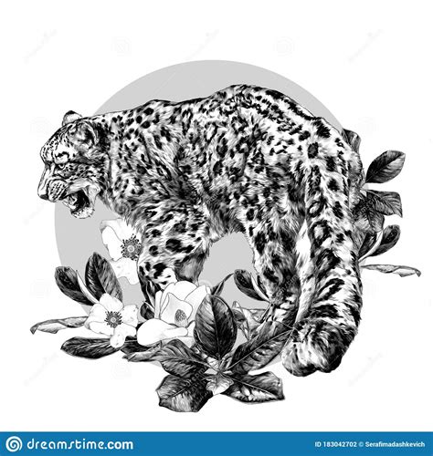 Full-length Jaguar Walking Backwards Tail Close-up Round Composition Decorated with Flowers and ...