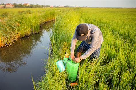 Malaysia should incentivize safer, non-chemical alternatives to pesticides –PANAP – Pesticide ...