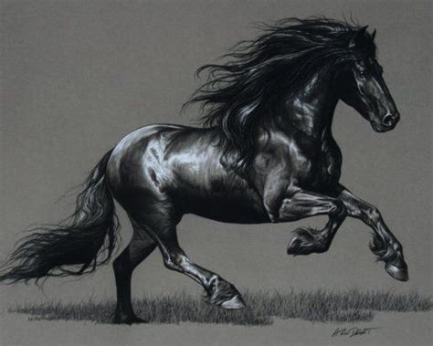 pencil sketches | Tumblr | Horses, Horse painting, Black horses