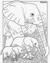 inkspired musings The Enormous Elephant Alphabet Time  sketch template