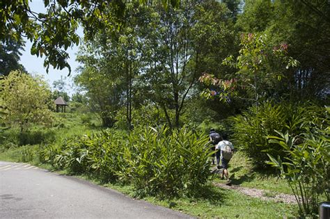 Butterfly Hill, Pulau Ubin | 300dpi photo. Please review the… | Flickr